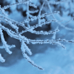 Prevent Frozen Pipes 5 Tips for Commercial Property Owners