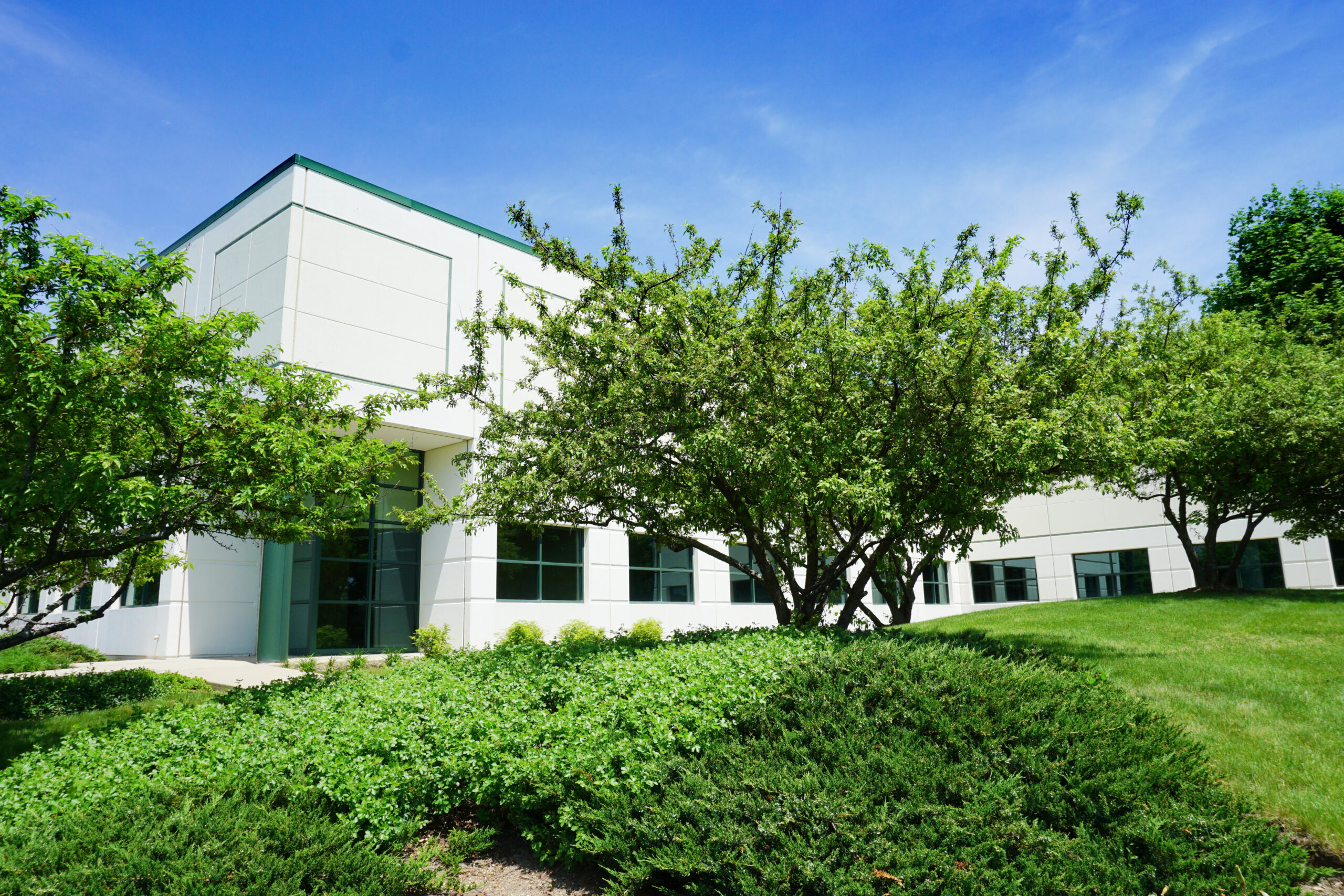 750 CWP #2 Commercial Real Estate In Chicago Viewed On Tour With Chicagoland' Top Commercial Real Estate Agent Commercial Real Estate Broker